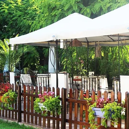 Delfin Hotel Sunny Beach