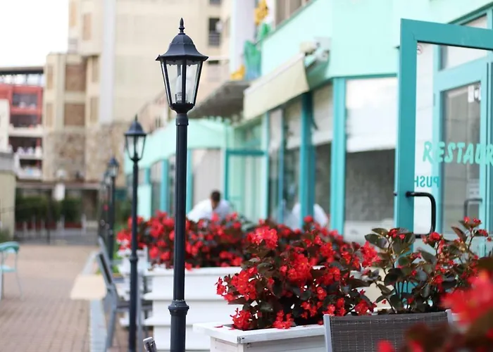 Delfin Готель 3*