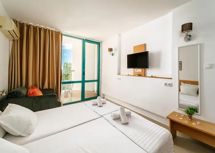 酒店 Delfin 内塞伯尔