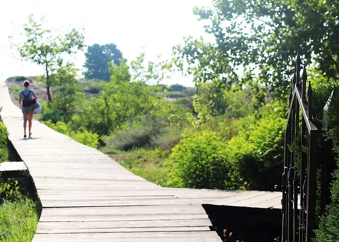 酒店 Delfin 内塞伯尔