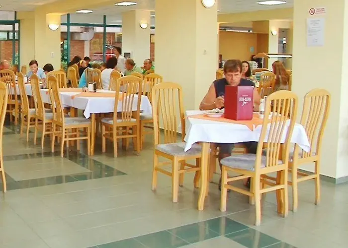 酒店 Delfin 内塞伯尔